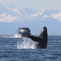 Best Time To Cruise Alaska image 1